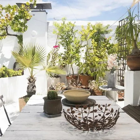 Amazing Penthouse Cadiz