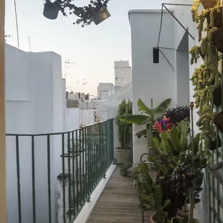 Amazing Penthouse Cadiz