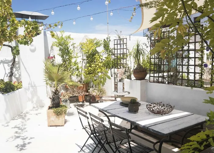 Apartment Amazing Penthouse