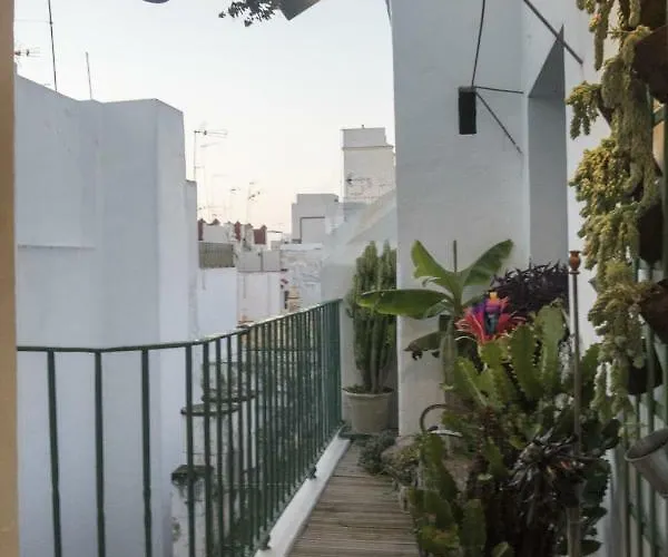 Amazing Penthouse Cadiz